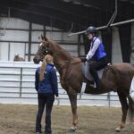 Lost Fortune Stables Coaching