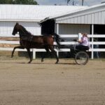 Driving class with "The Preacher Man"